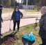 Городское поселение посёлок Чистые Боры Буйского муниципального района - фотографии - Посёлок Чистые Боры