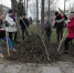 Городское поселение посёлок Чистые Боры Буйского муниципального района - фотографии - Посёлок Чистые Боры