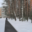 Городское поселение посёлок Чистые Боры Буйского муниципального района - фотографии - Посёлок Чистые Боры