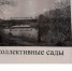 Палы травы несут серьезные угрозы здоровью и имуществу буевлян - Газета Буйская Правда