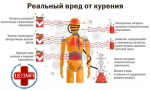 Неделя профилактики потребления никотинсодержащей продукции