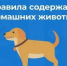 Об ответственности за нарушение требований по содержанию домашних животных - Город Буй