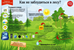 Как не заблудиться в лесу