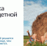 От регистрации ребенка до оформления материнского капитала - Газета Буйская Правда