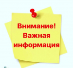 О правилах безопасности при проведении массовых мероприятий